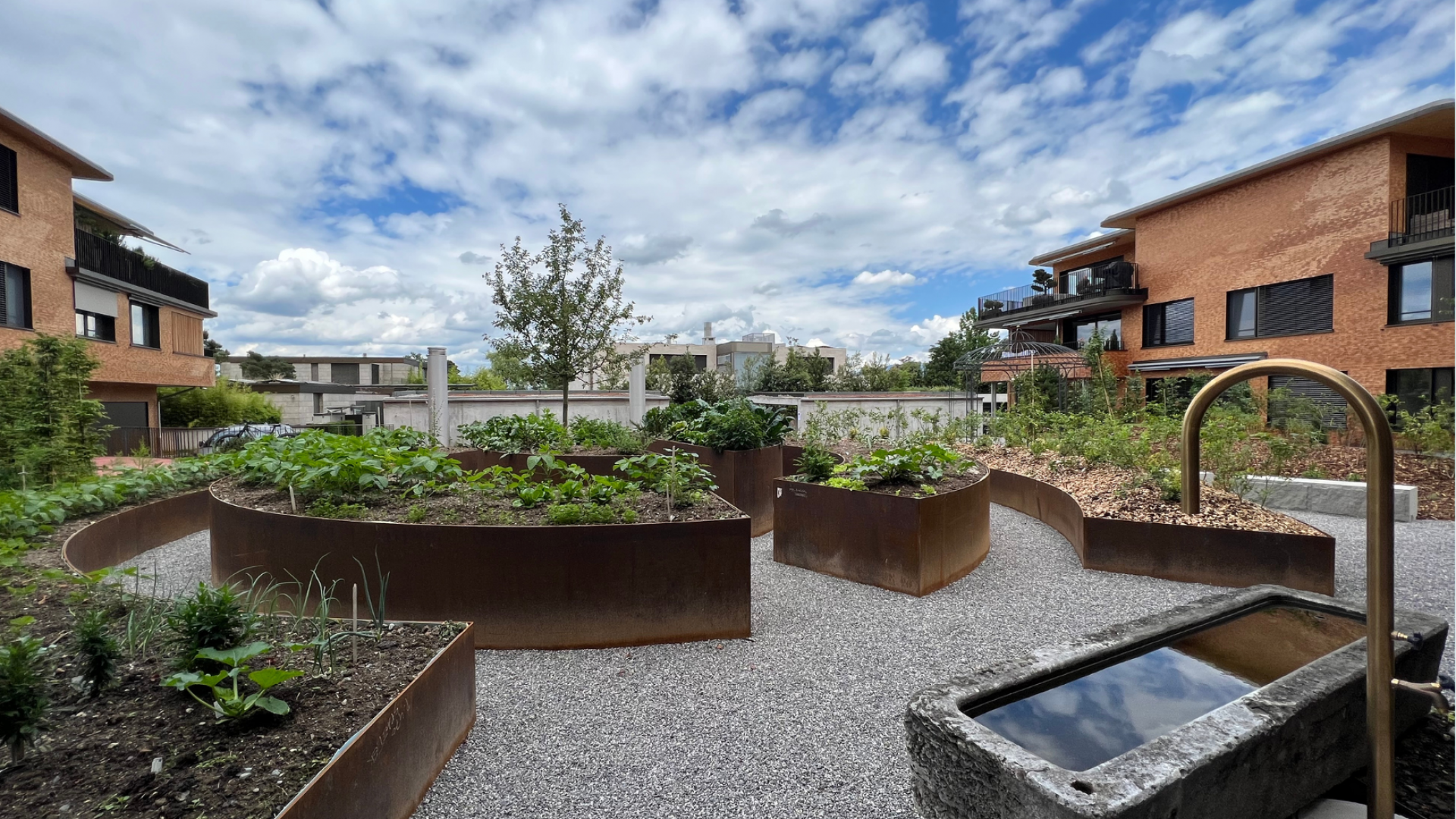 Sommer Gartenparty Chillen & Grillen Einladung (Postkarte) (3)